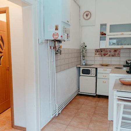 Flh - Apartament Mai Cu Aroma De Cafea Si Ceai 시비우 외부 사진